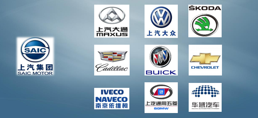 國內客戶(hù)分布